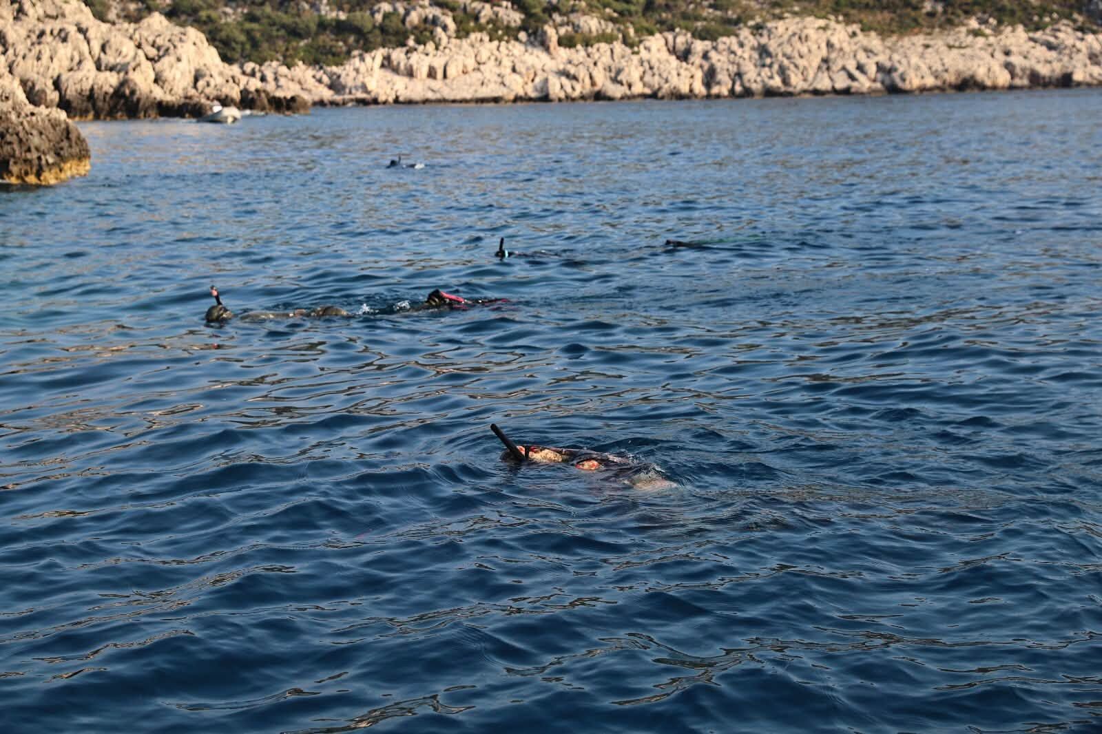 Antalya'da Aslan Balığına Karşı Farkındalık Etkinliği6