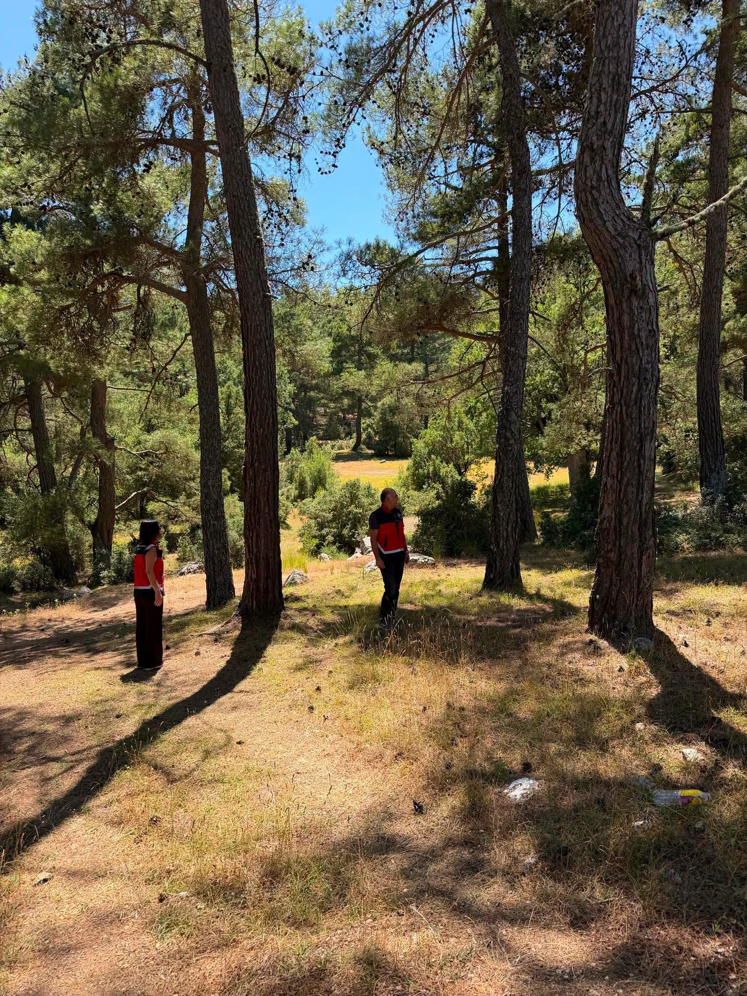 Antalya'da Orman Yangını Riskine Karşı Denetim3