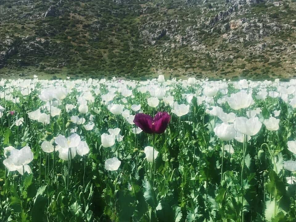 Bucak Kızılkaya Kasabası Doğası Ve Huzuruyla İlgi Görüyor2