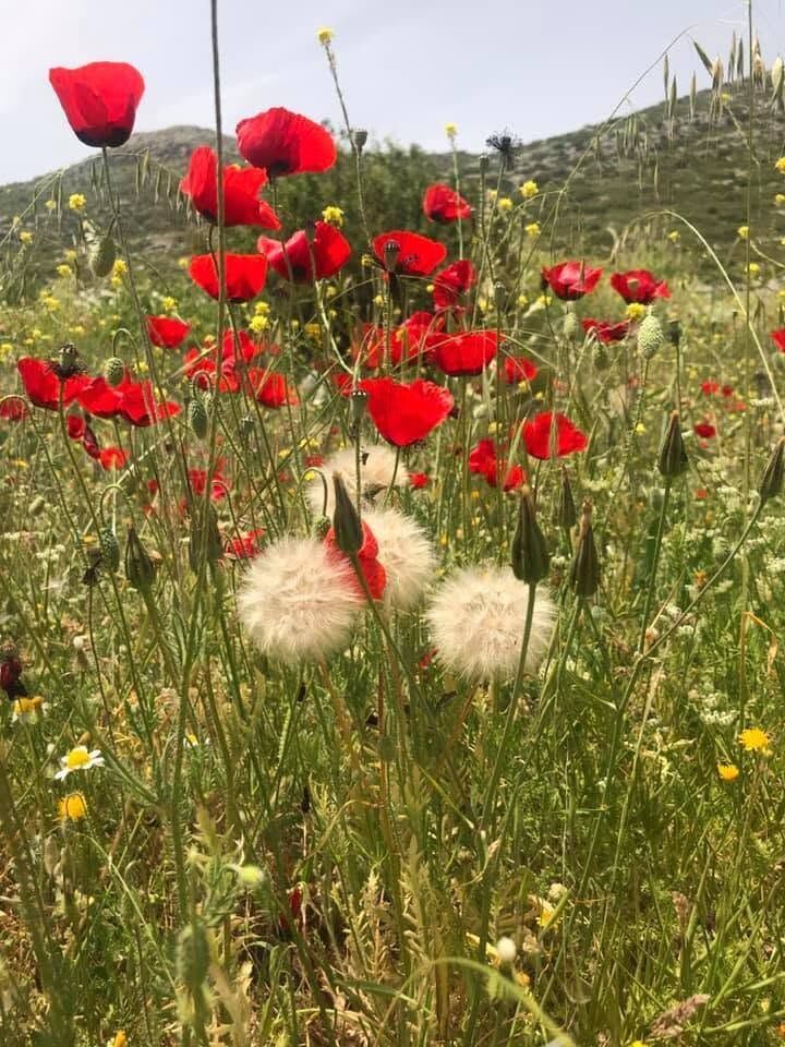 Bucak Kızılkaya Kasabası Doğası Ve Huzuruyla İlgi Görüyor3