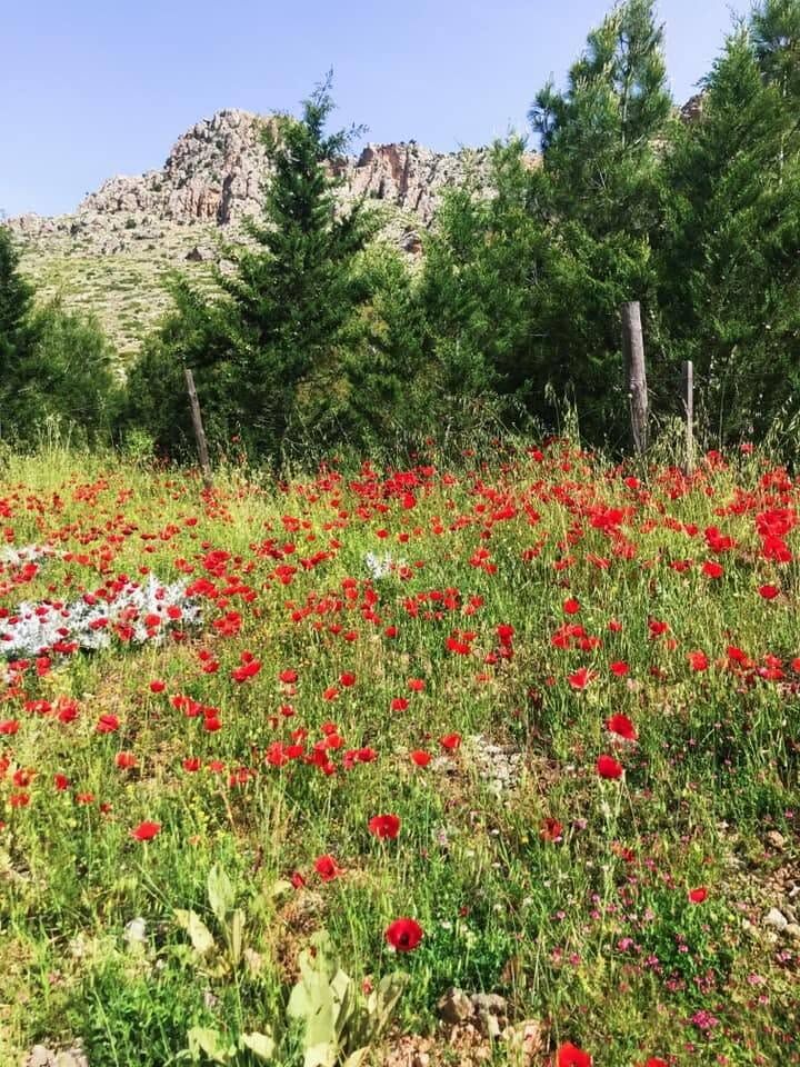 Bucak Kızılkaya Kasabası Doğası Ve Huzuruyla İlgi Görüyor4