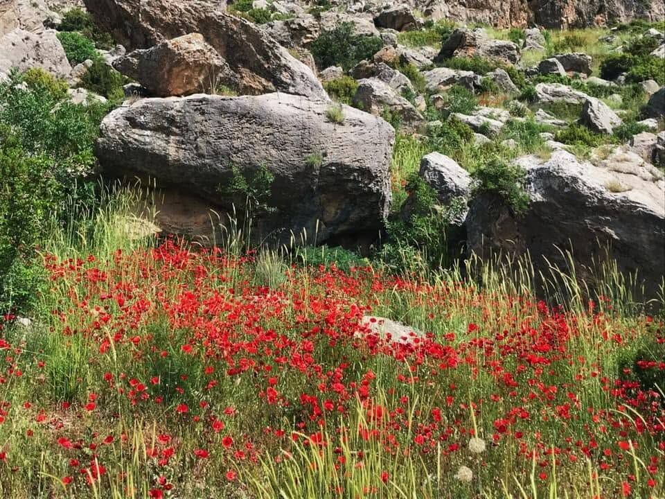 Bucak Kızılkaya Kasabası Doğası Ve Huzuruyla İlgi Görüyor8