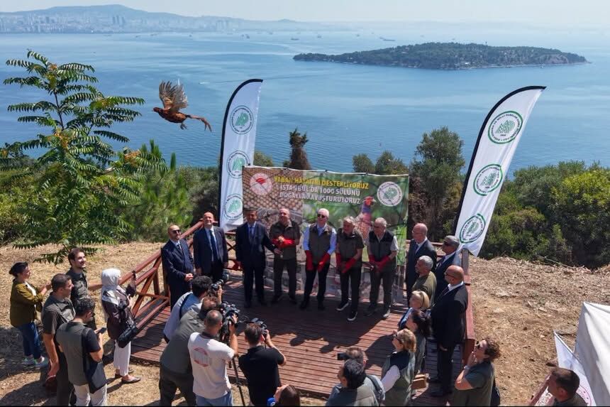 Büyükada'da 1000 Sülün Doğal Yaşamla Buluşturuldu2