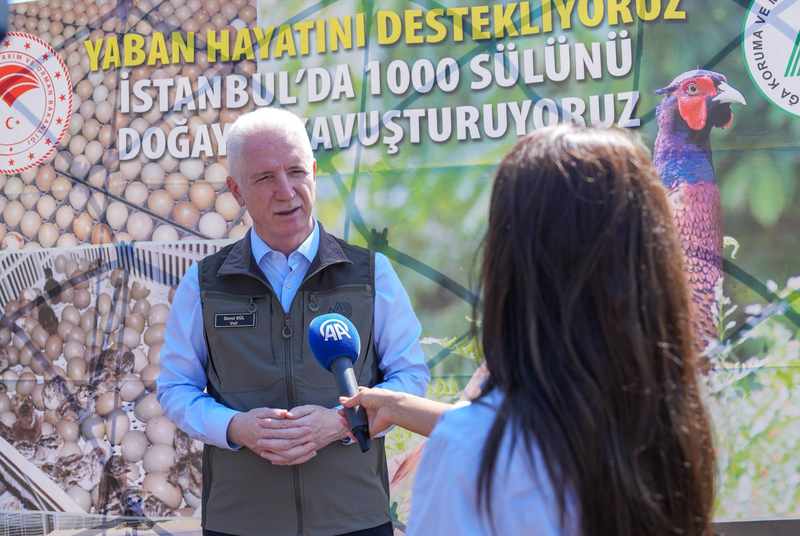 Büyükada'da 1000 Sülün Doğal Yaşamla Buluşturuldu3