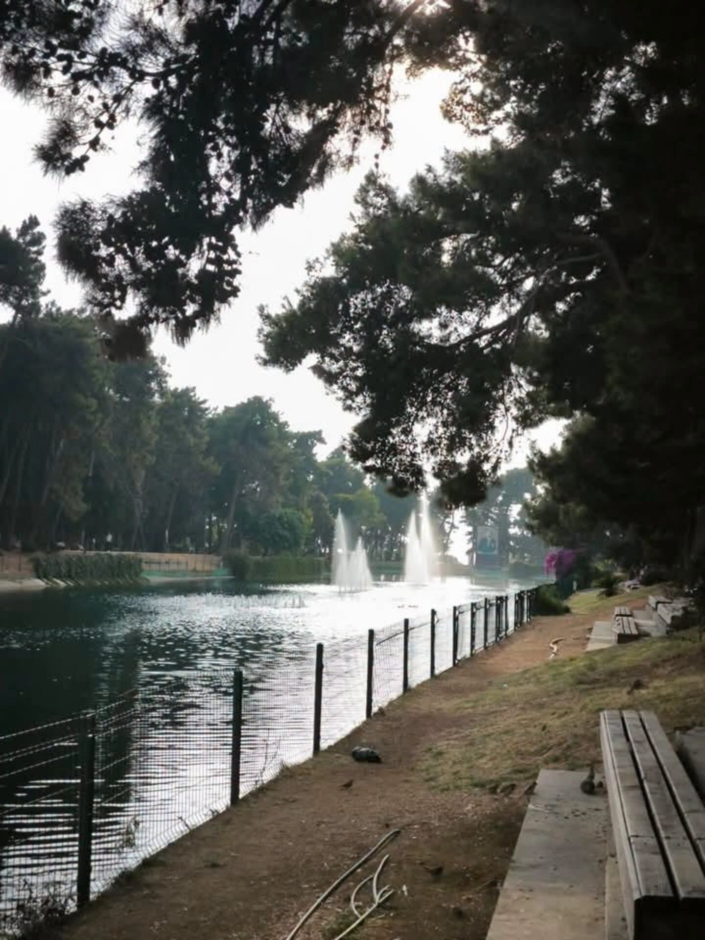 Defne Hidro’dan Atatürk Parkı’nda Anlamlı Etkinlik2