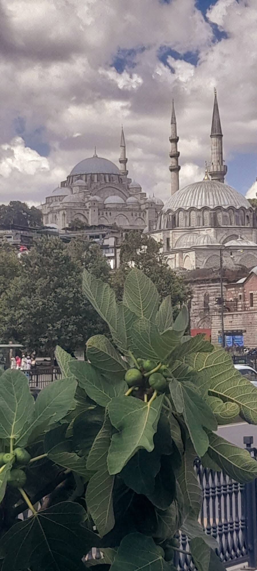 Eminönü’nde Yoğunluk Dikkat Çekiyor Hareketlilik Sürüyor4