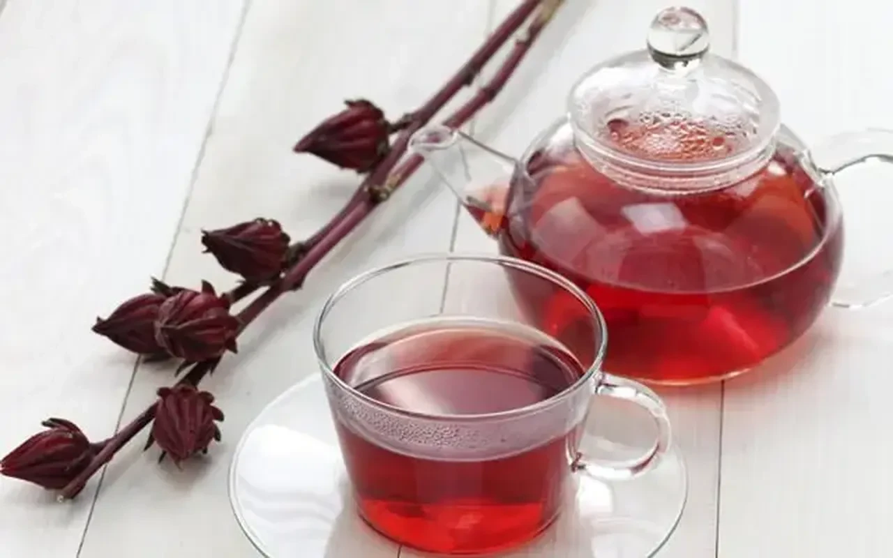 Ferahlatan Lezzet Hibiskus Şerbeti Neden Bu Kadar Popüler3