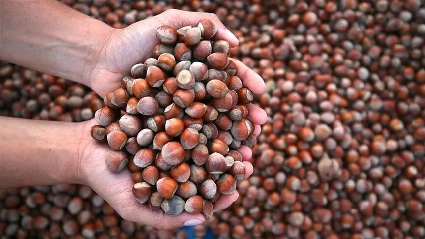 Fınfık