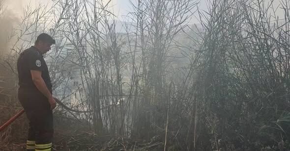 Hatay Yangın (4)