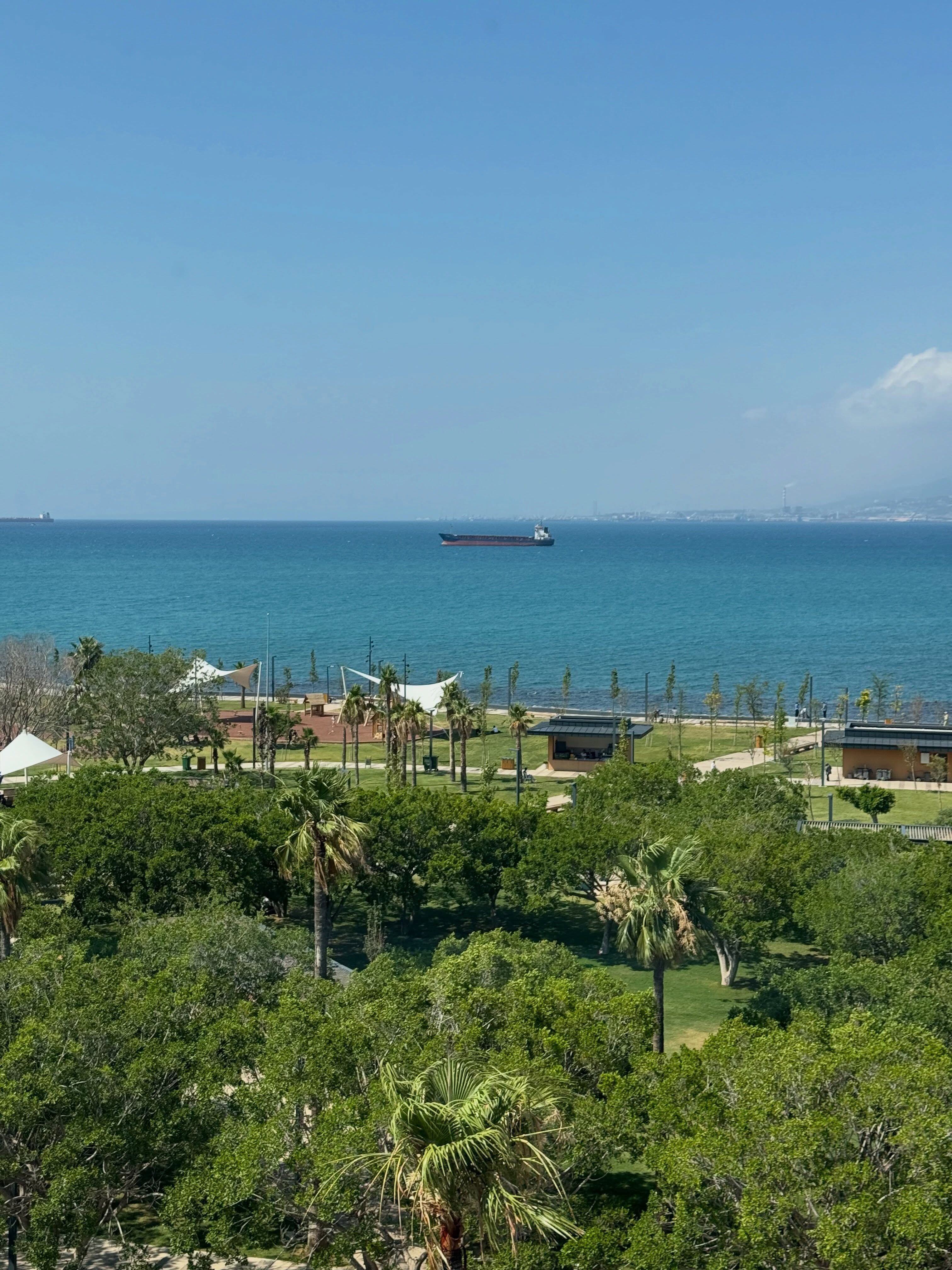 İskenderun Sahili Akdeniz’in Gözde Yaşam Alanı Oldu2