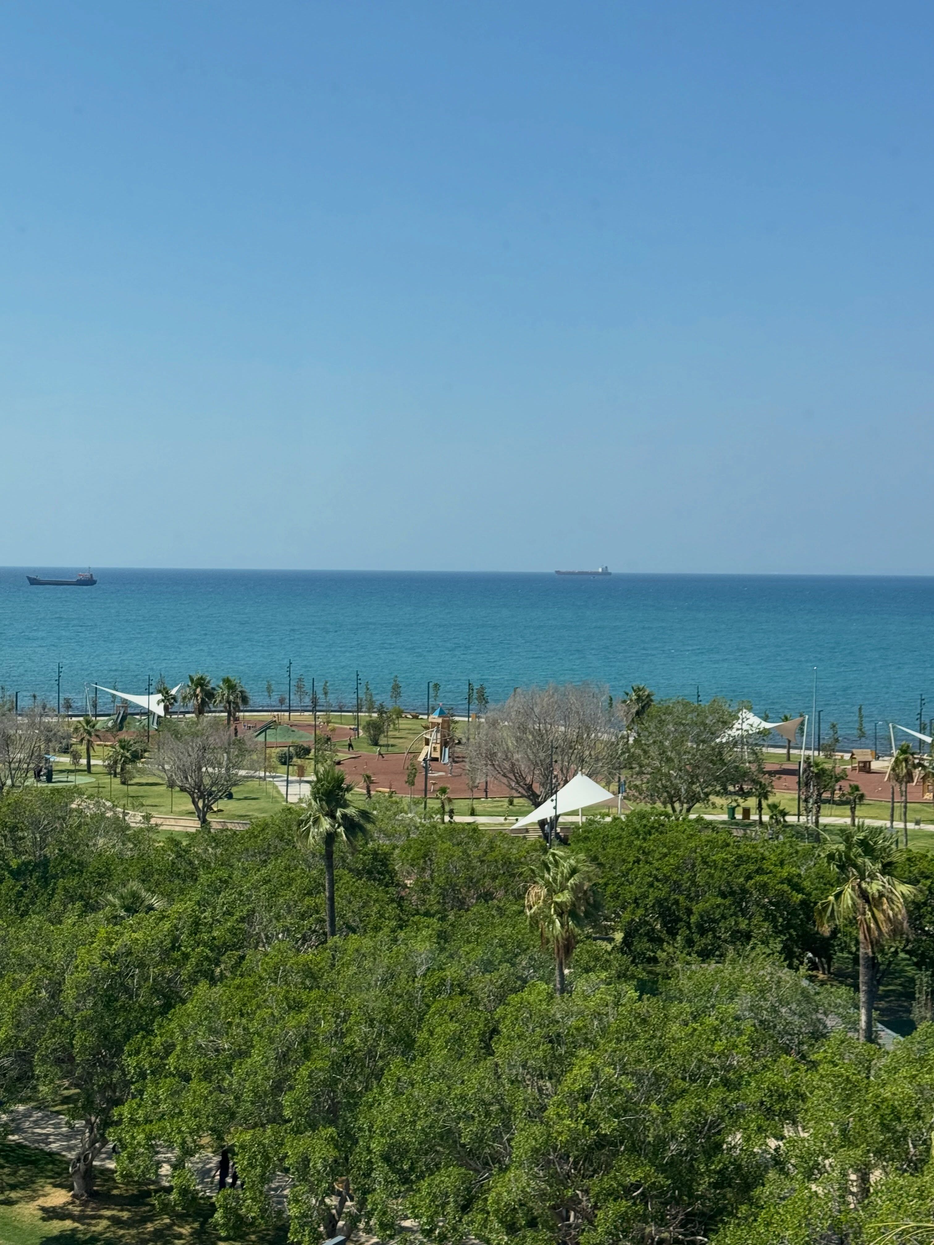 İskenderun Sahili Akdeniz’in Gözde Yaşam Alanı Oldu3