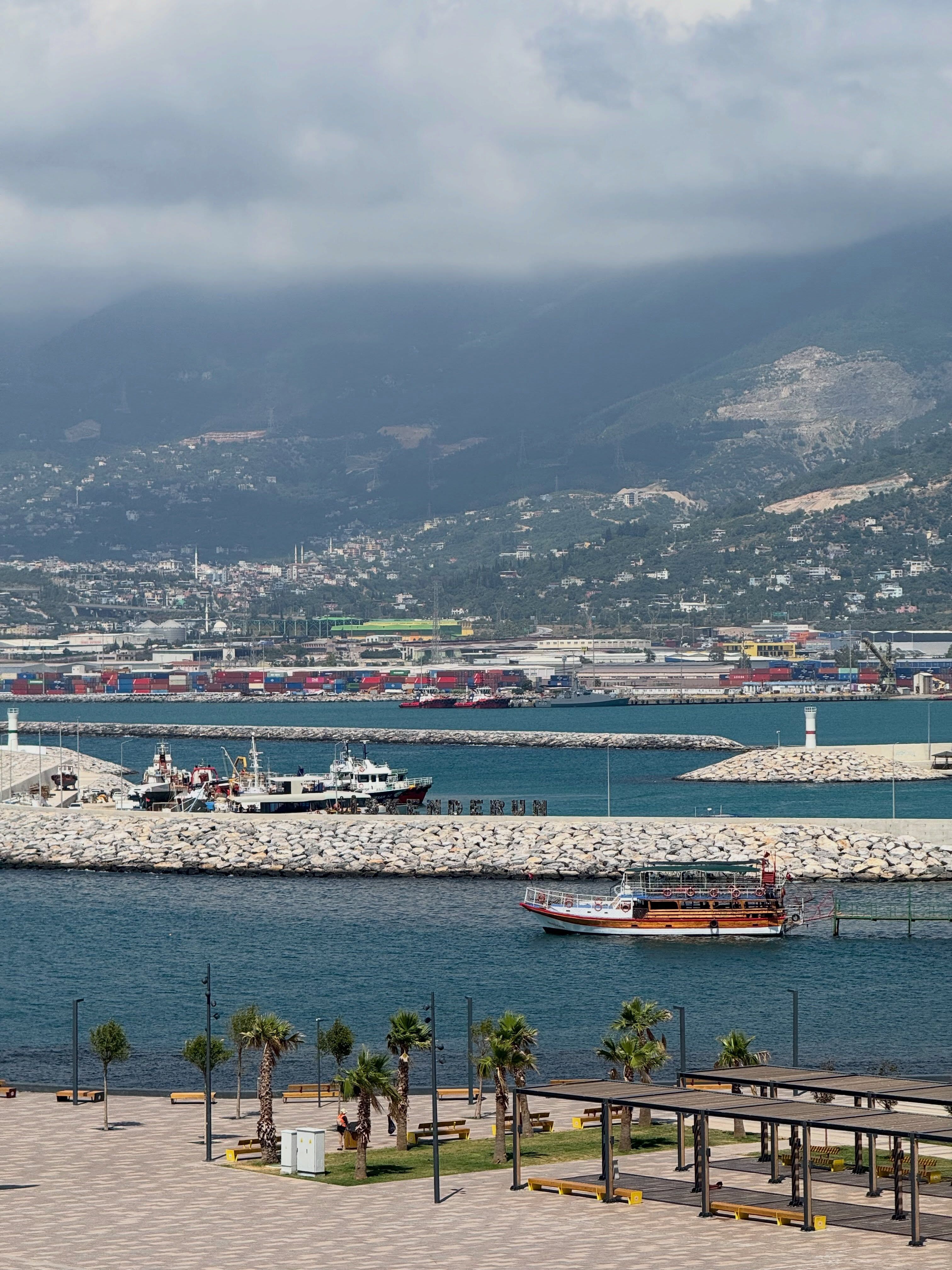 İskenderun Sahili Akdeniz’in Gözde Yaşam Alanı Oldu4