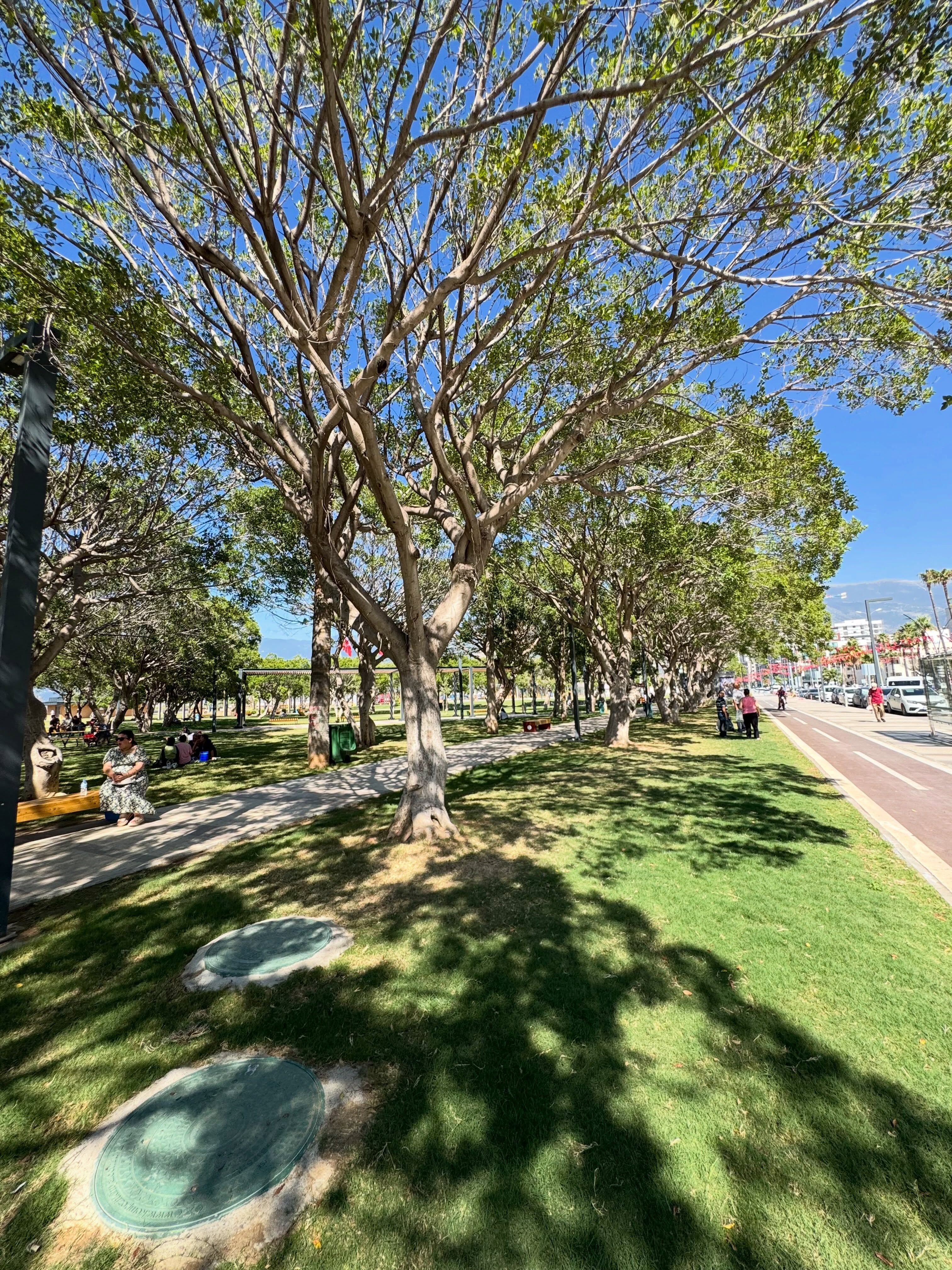 İskenderun Sahili Yaz Sezonunda Ziyaretçilerini Ağırlıyor4