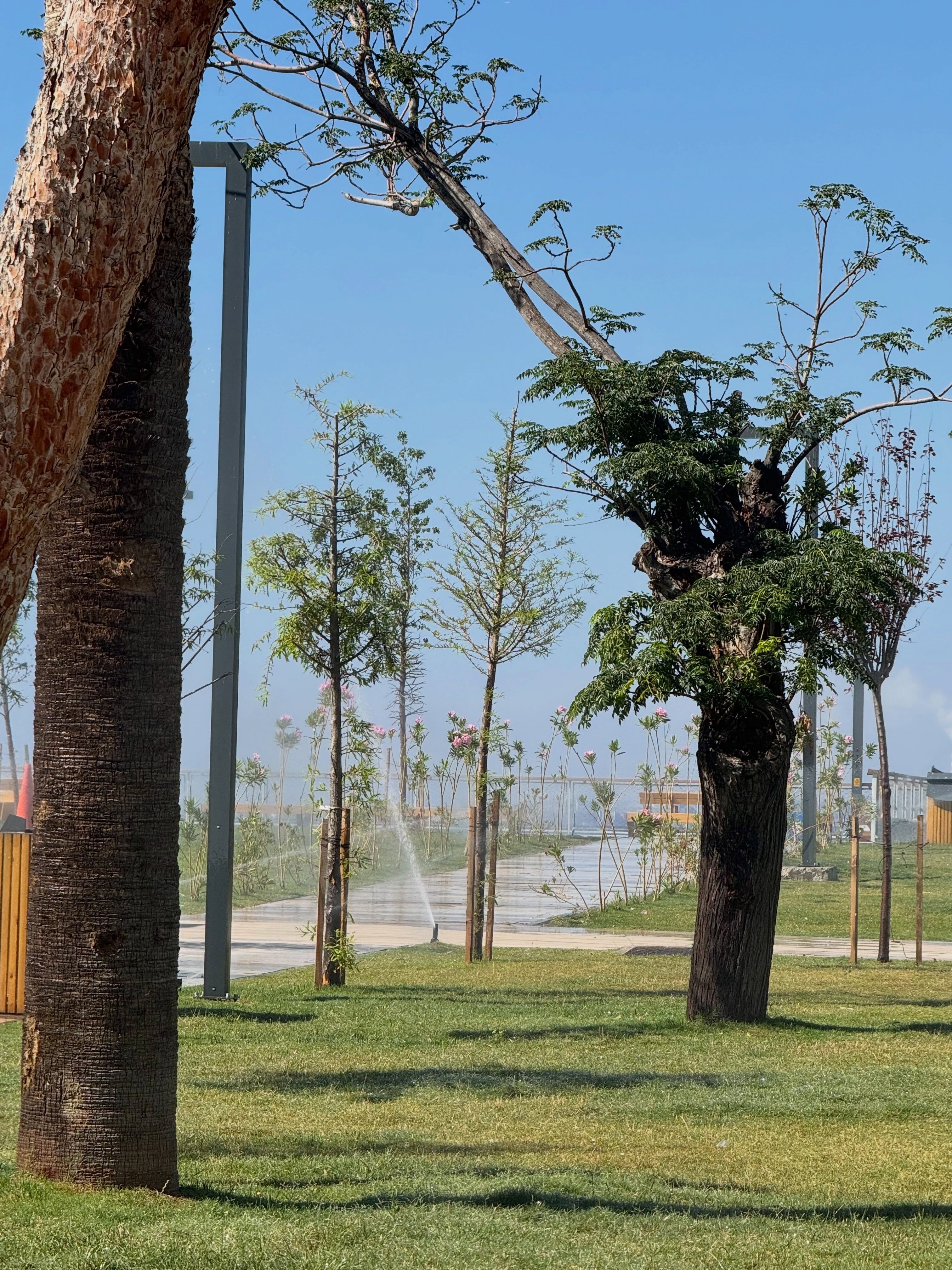 İskenderun Sahili Yaz Sezonunda Ziyaretçilerini Ağırlıyor5
