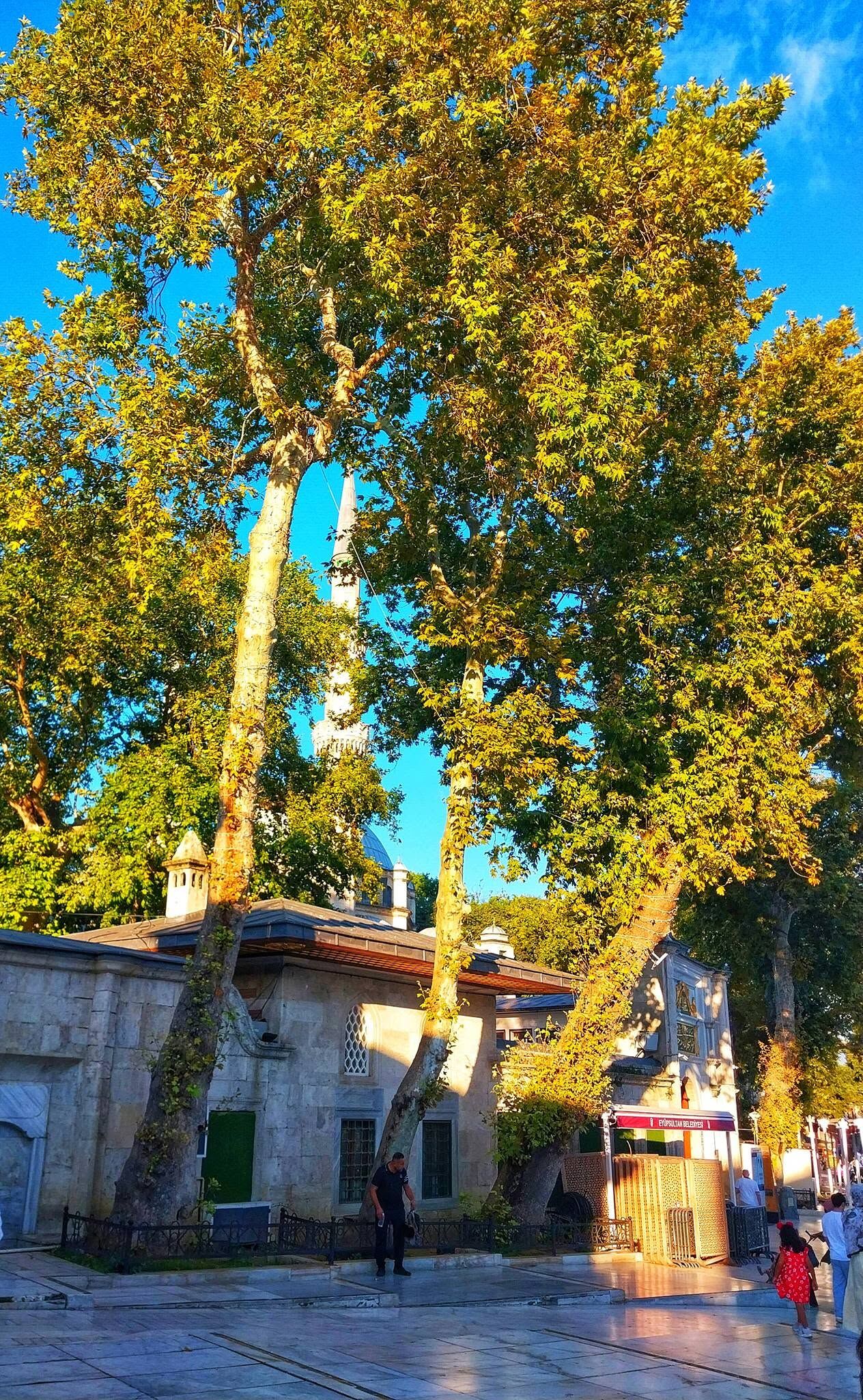 İstanbul Eyüp Sultan Manevi Atmosferiyle Ziyaretçi Ağırlıyor7