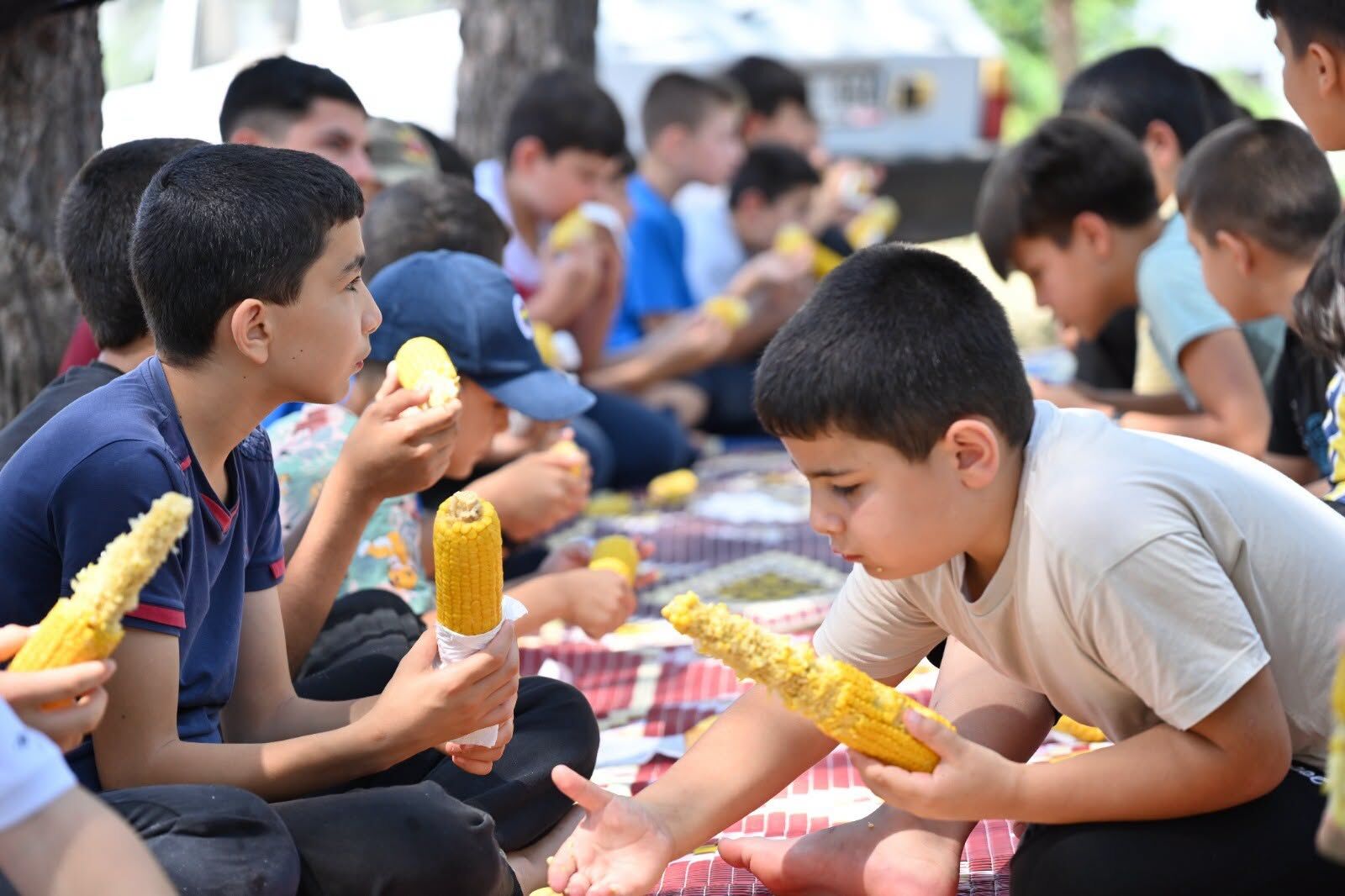 Kadirli’de Geleneksel Mısır Şenliği Coşkuyla Yapıldı8