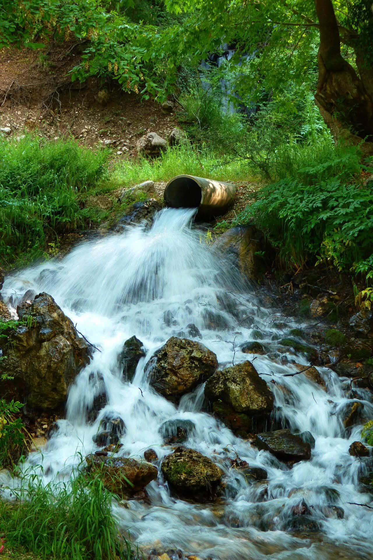 Karaağaç3