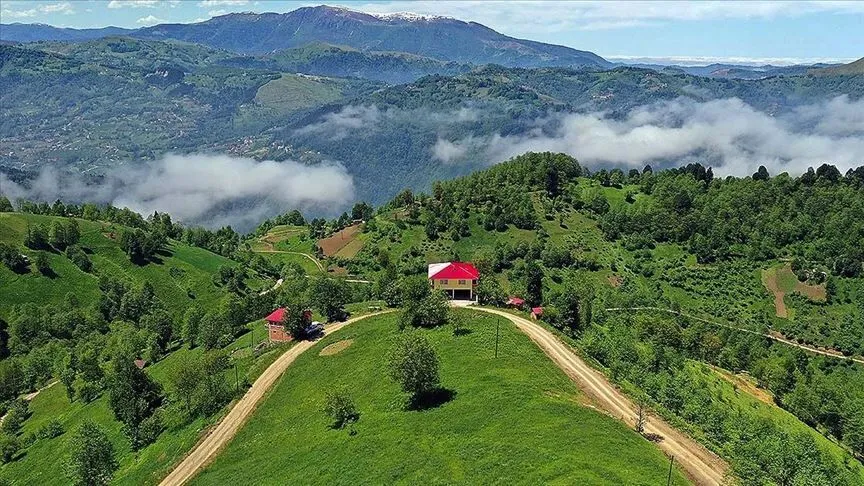 Karadeniz