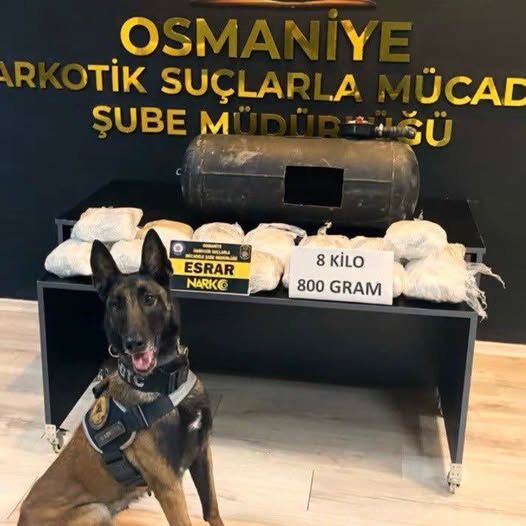 Köpek-3