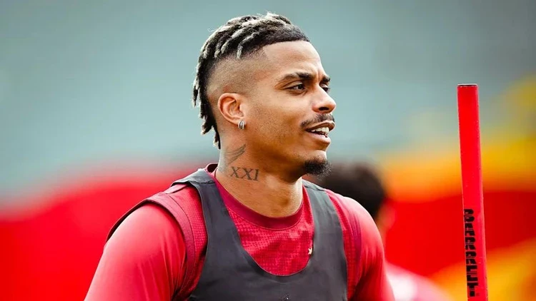 Lemina-1
