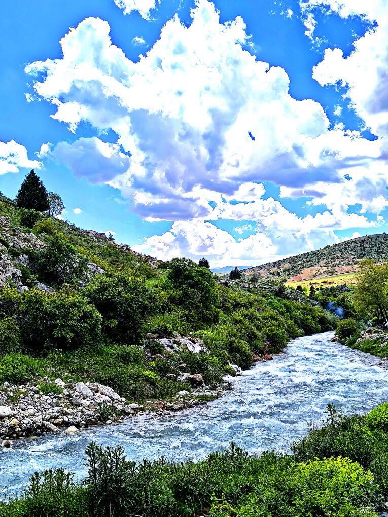 Doğa
