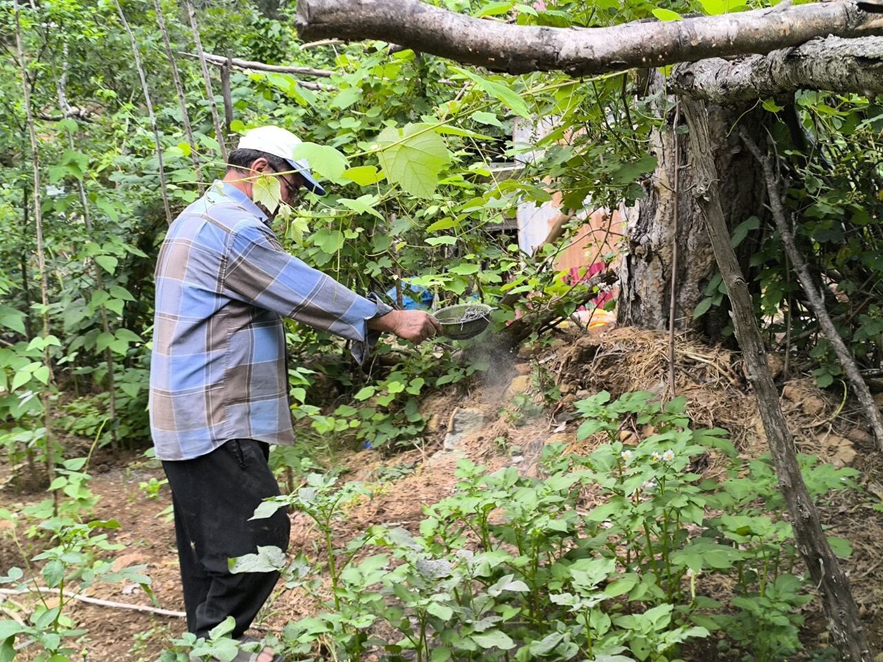 Odun Külüyle Doğal Tarımın Sırrı Ne (1)