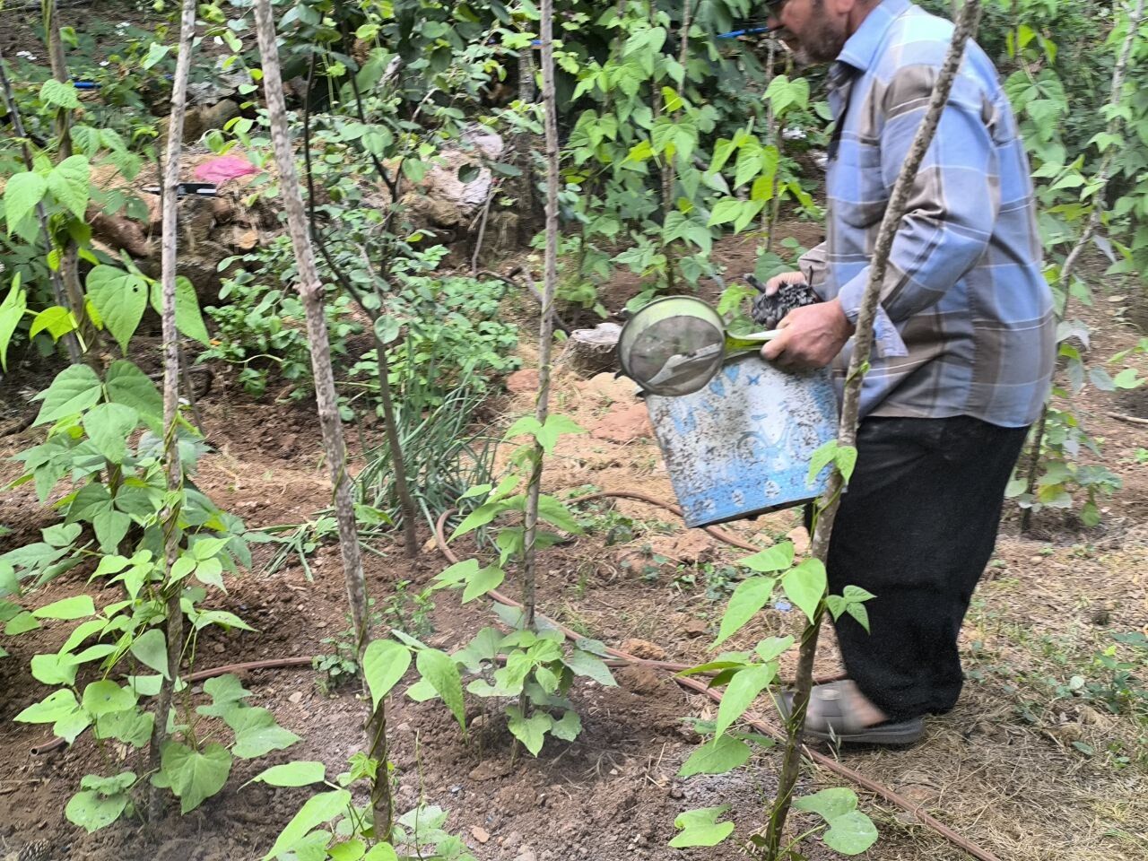 Odun Külüyle Doğal Tarımın Sırrı Ne (12)