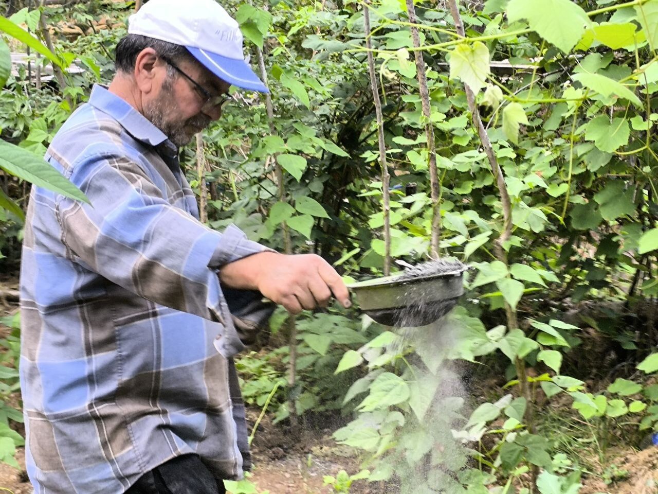 Odun Külüyle Doğal Tarımın Sırrı Ne (9)
