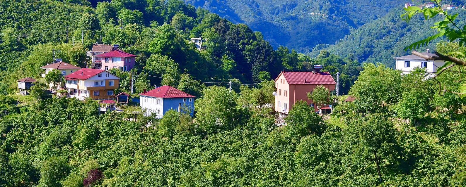 Ordu Bayadı Vadisi Doğa Tutkunlarının Gözdesi Oldu4