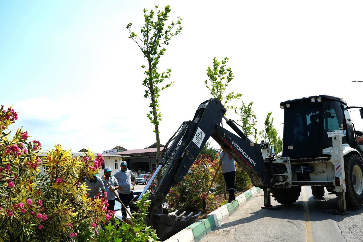 Osmaniye Ağaç