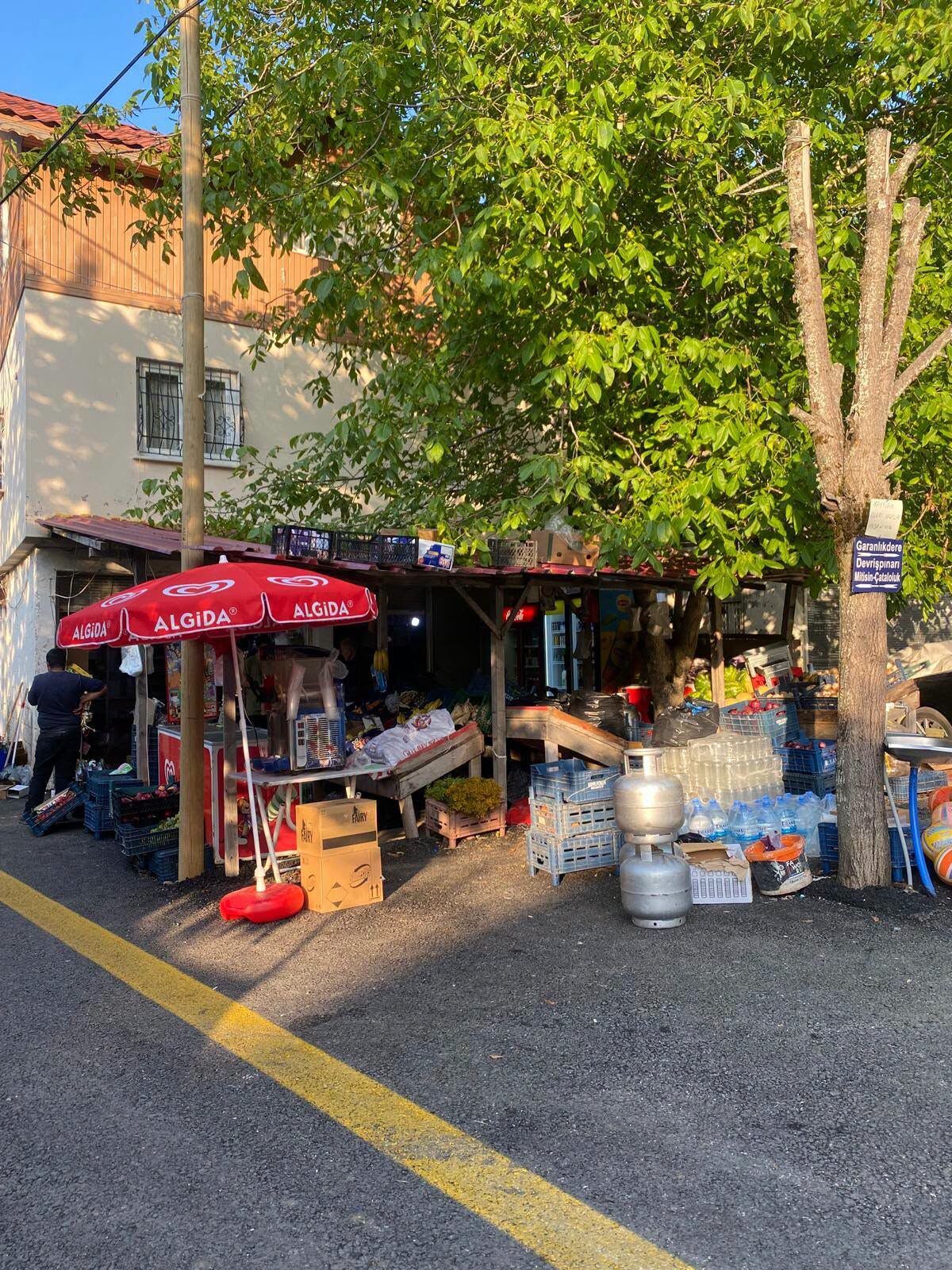 Osmaniye Büyük Küreci Yaylası Doğaseverleri Büyüledi2