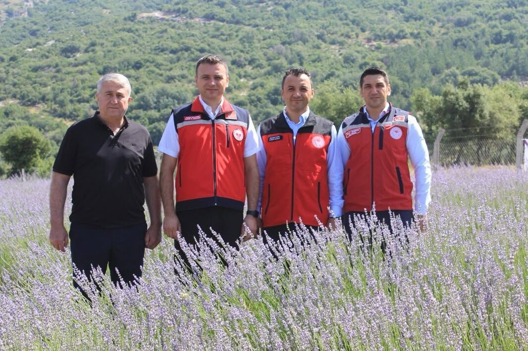 Osmaniye Düziçi’nde Lavanta Hasadı Üreticileri Sevindirdi4