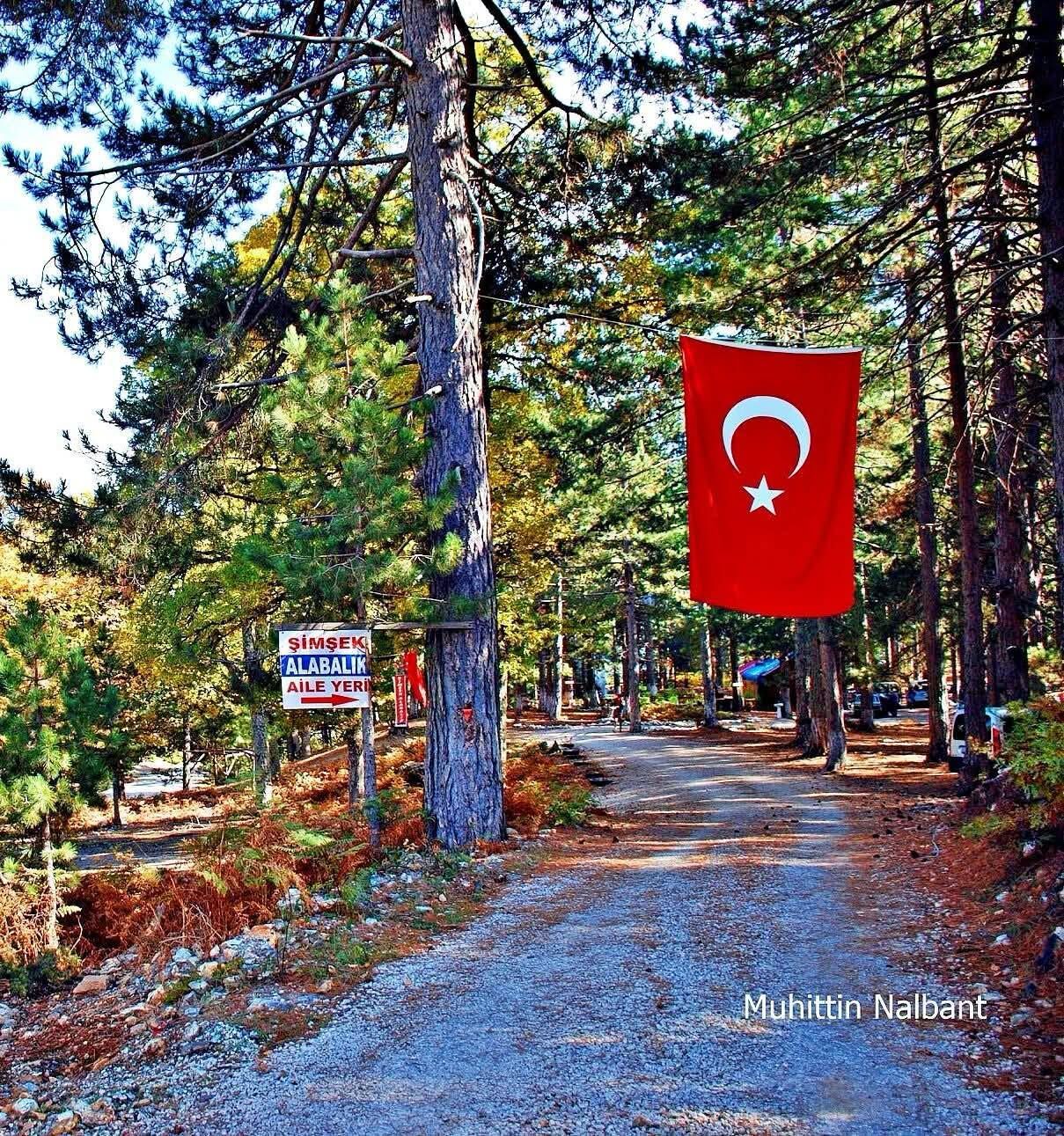 Osmaniye Küllü Köyü’nde Alabalık Lezzeti İlgi Görüyor3
