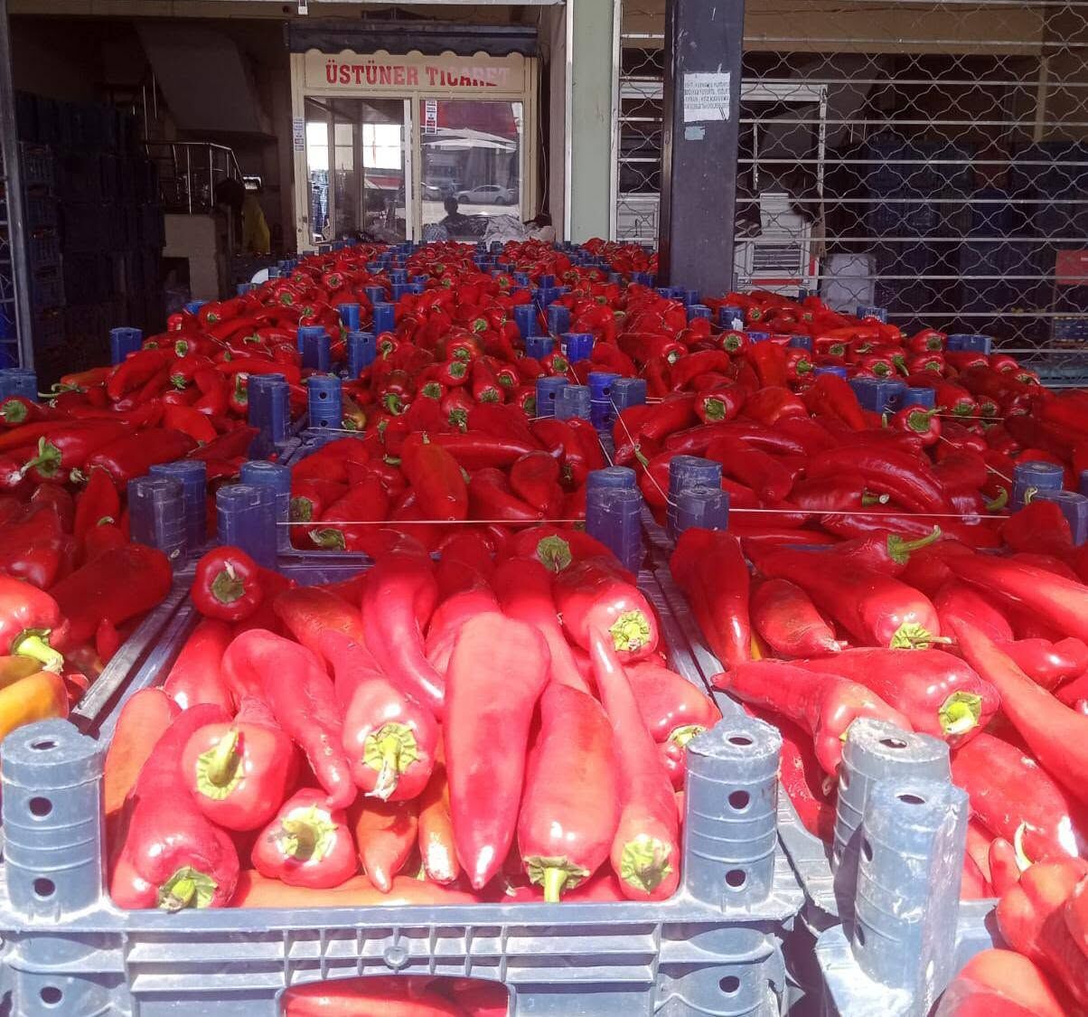 Osmaniye'de Salçalık Biber Satışı Başladı! İlk Fiyat 20 Tl (3)