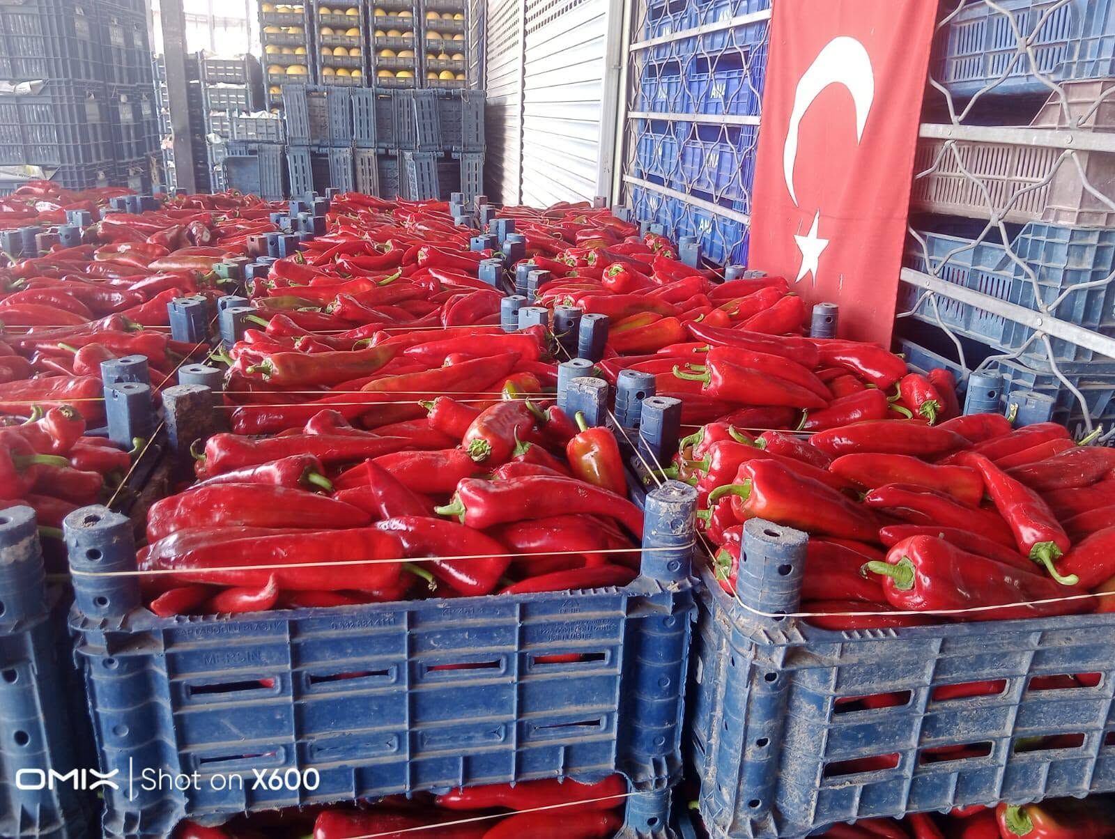 Osmaniye'de Salçalık Biber Satışı Başladı! İlk Fiyat 20 Tl (4)