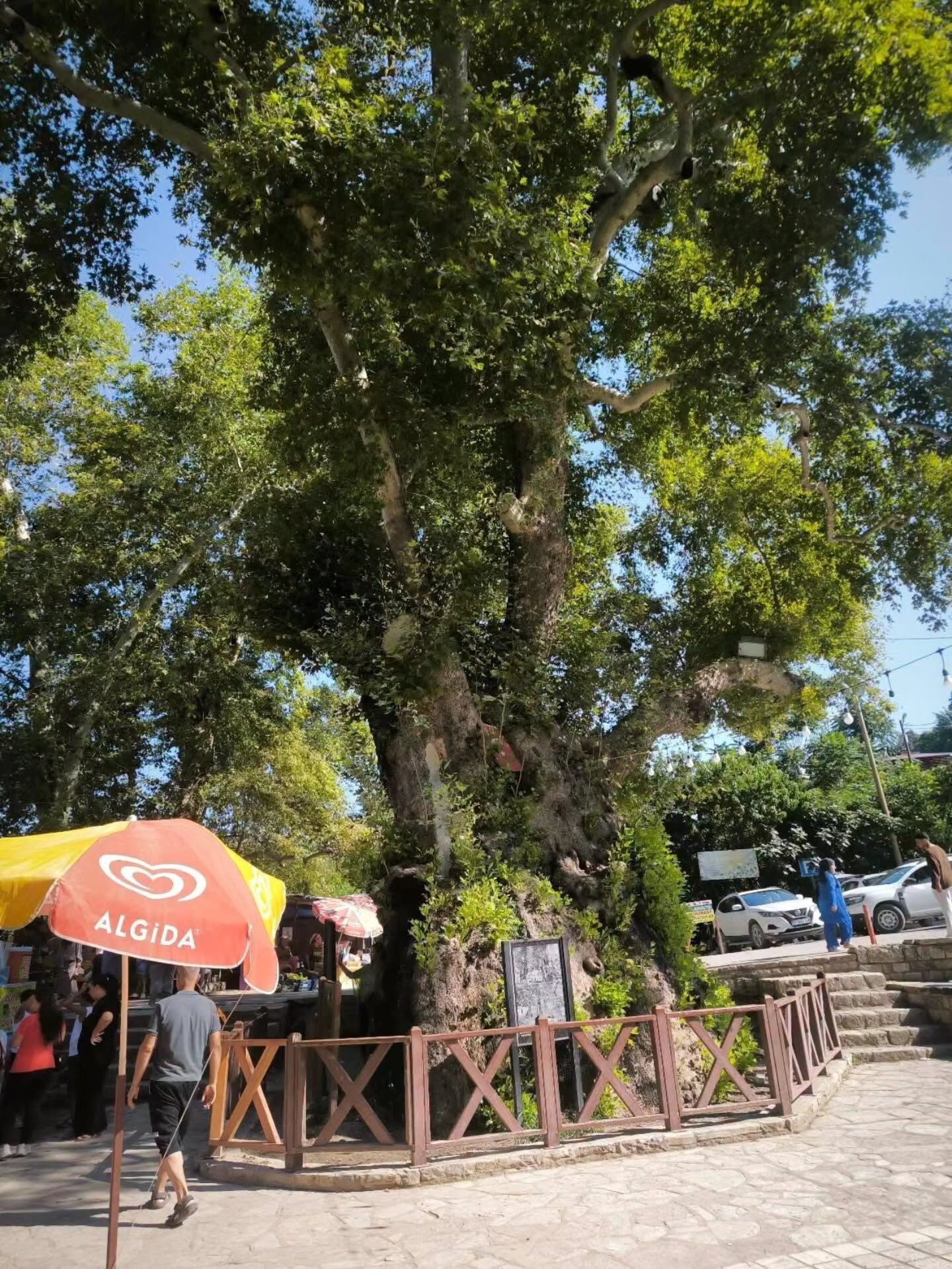 Samandağ Hıdırbey Köyü Doğal Güzellikleriyle Büyülüyor2