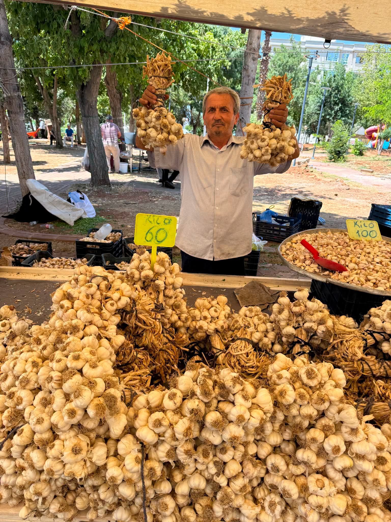 Sarımsak-3