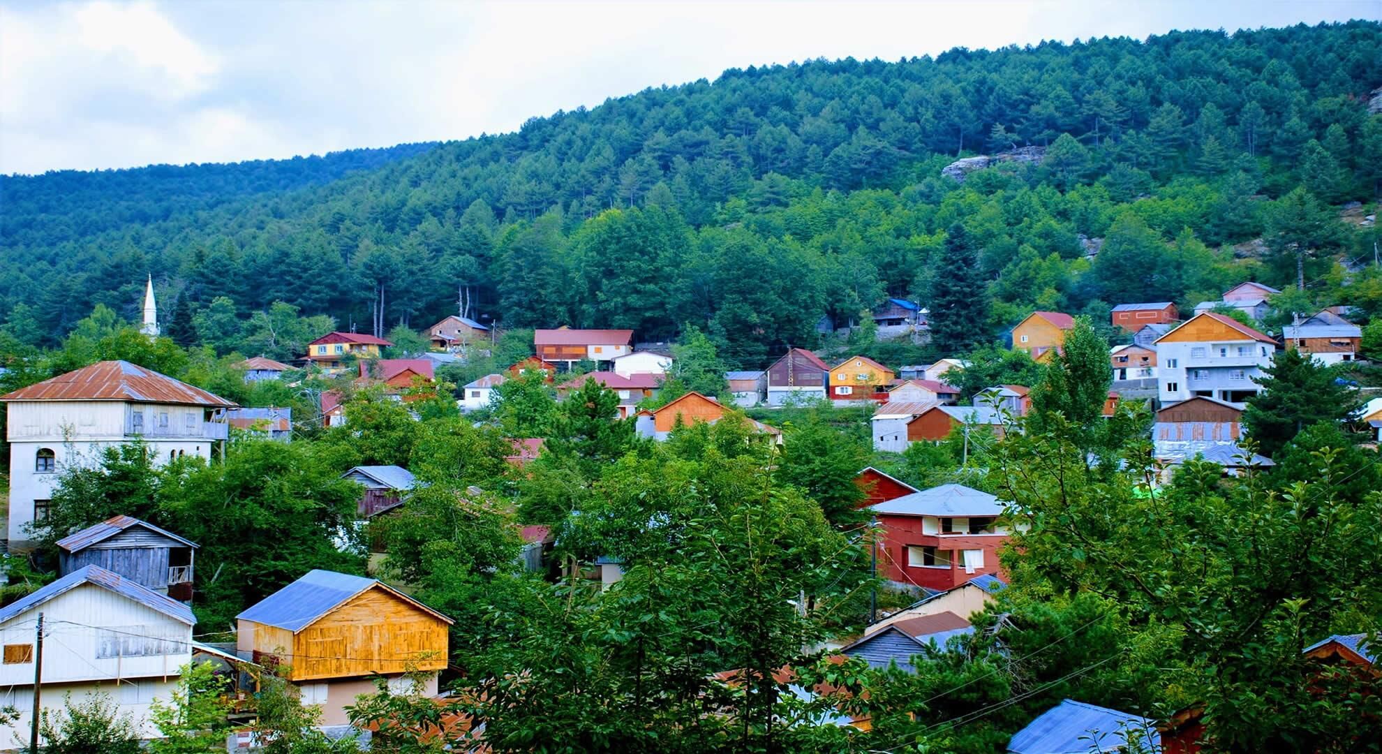 Yayla Zorkun