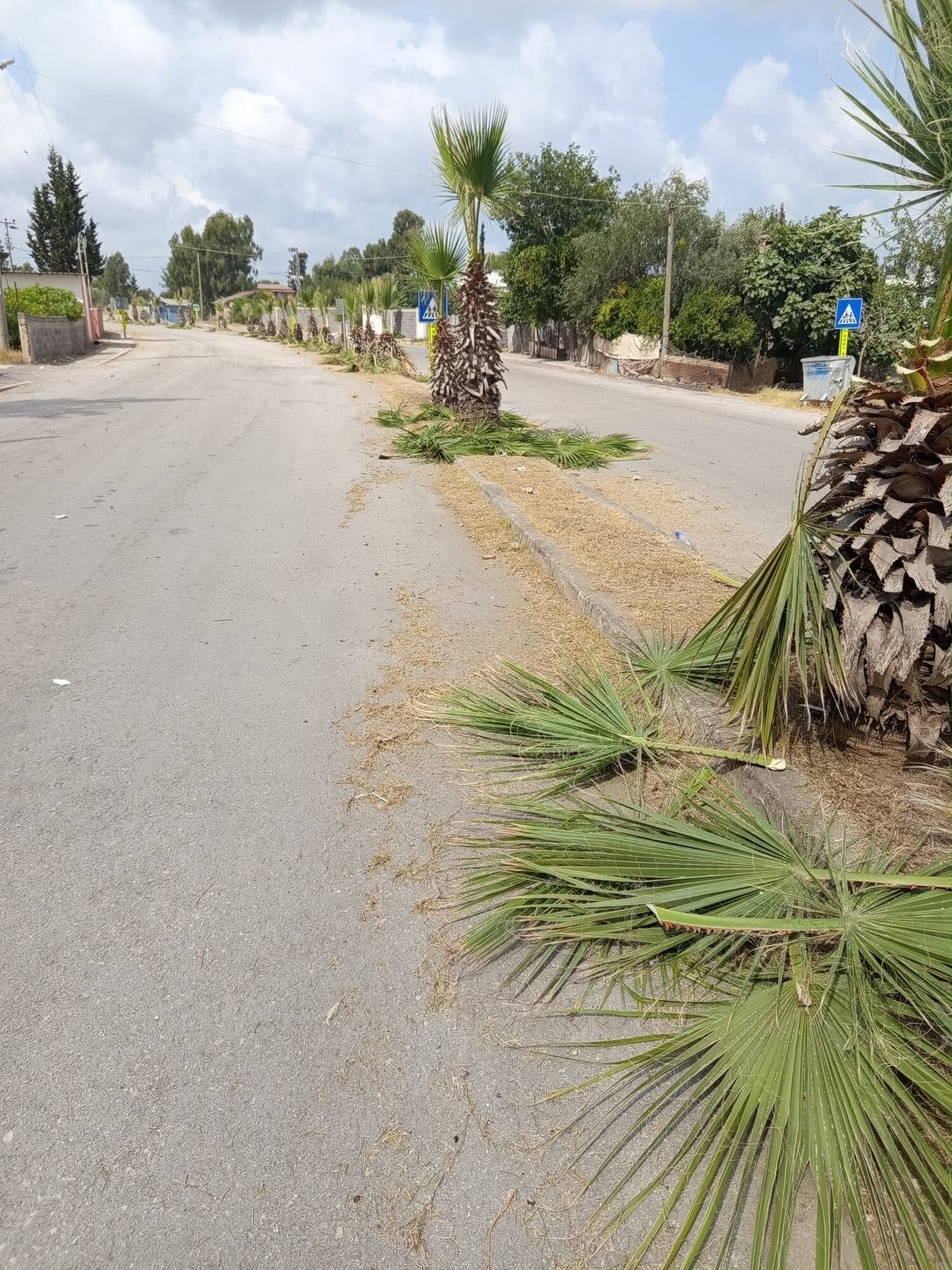 Yumurtalık'ta Kaldırım Mahallesi'nde Temizlik Seferberliği2
