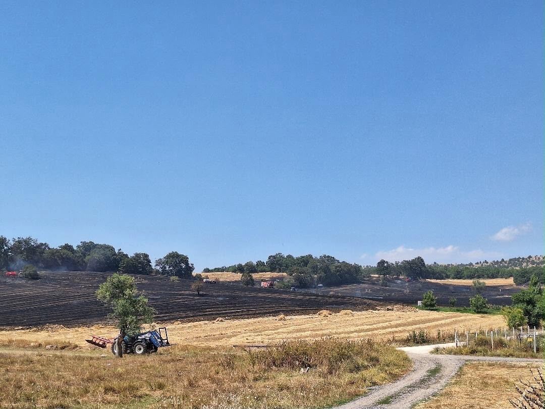 Bilecik