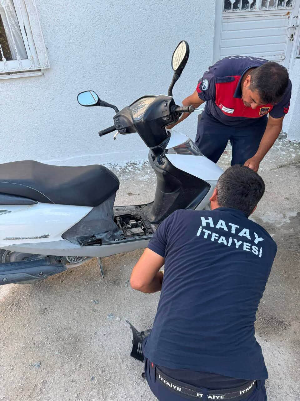 HBB İtfaiyesi Antakya ve Arsuz'da Yılanları Kurtardı-2