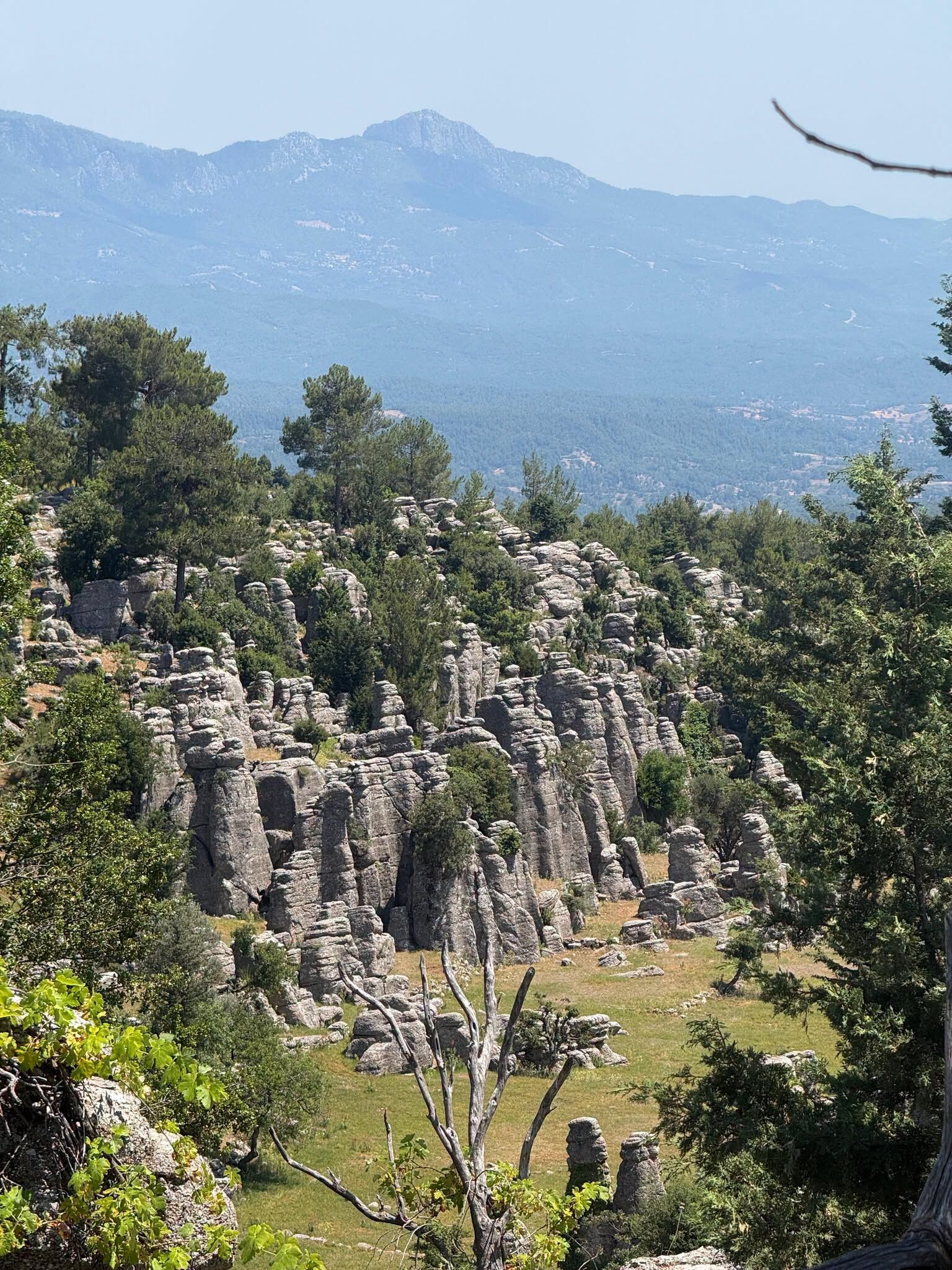 Köprülü Kanyon Milli Park Müdürlüğü Kuruldu-3