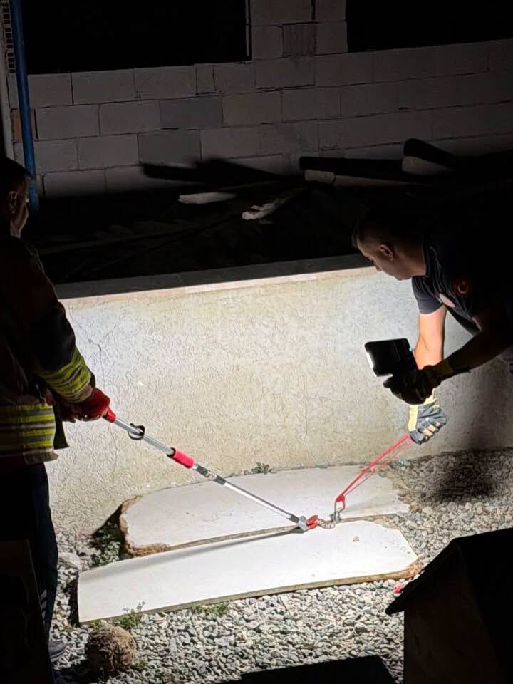 Arsuz ve Altınözü'nde Yılanlar Doğaya Bırakıldı