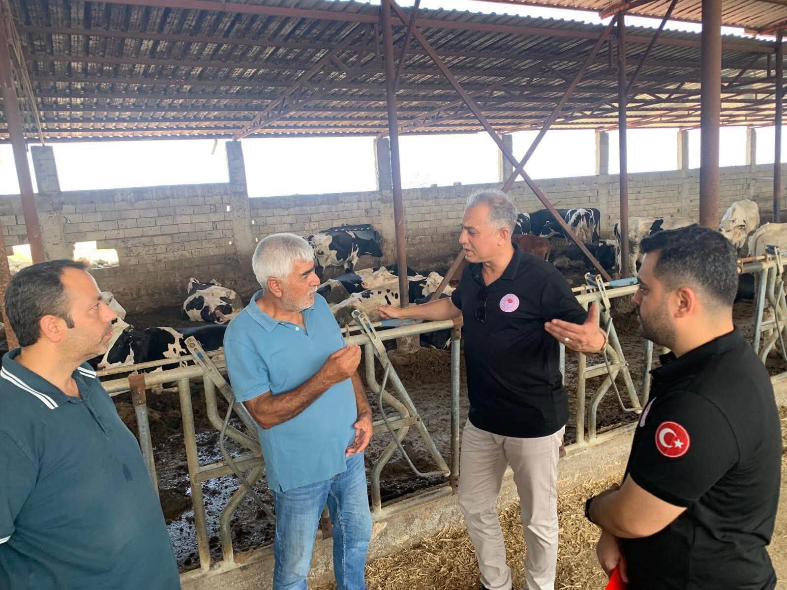 Hatay'da Ari İşletmeye Sertifika Verildi-2