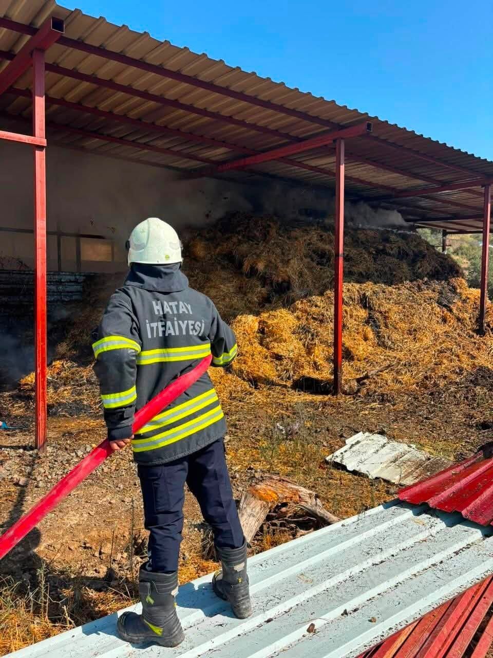 Antakya’da Yangından 6 Büyükbaş ve Köpek Kurtarıldı2