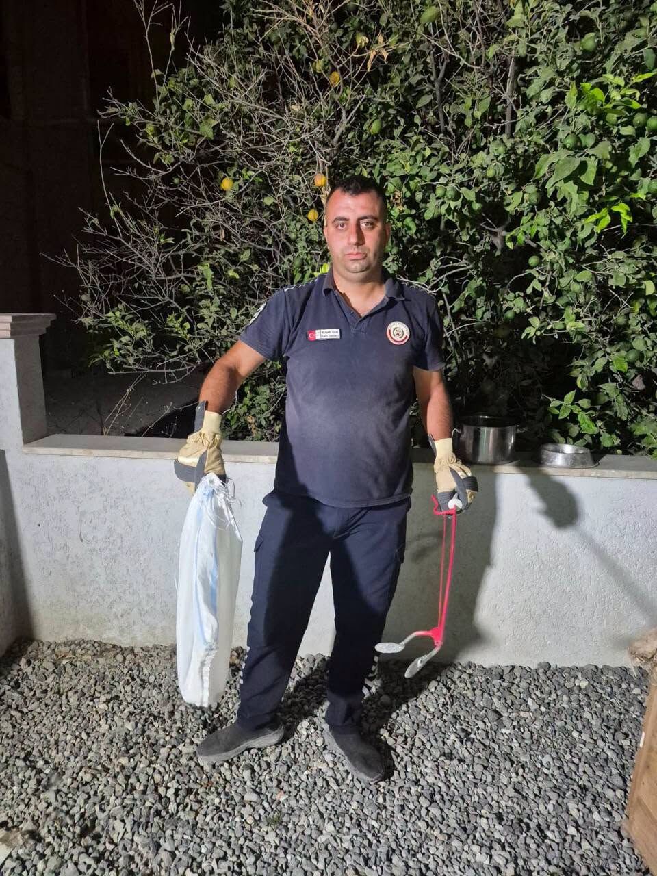 Arsuz ve Altınözü'nde Yılanlar Doğaya Bırakıldı-2