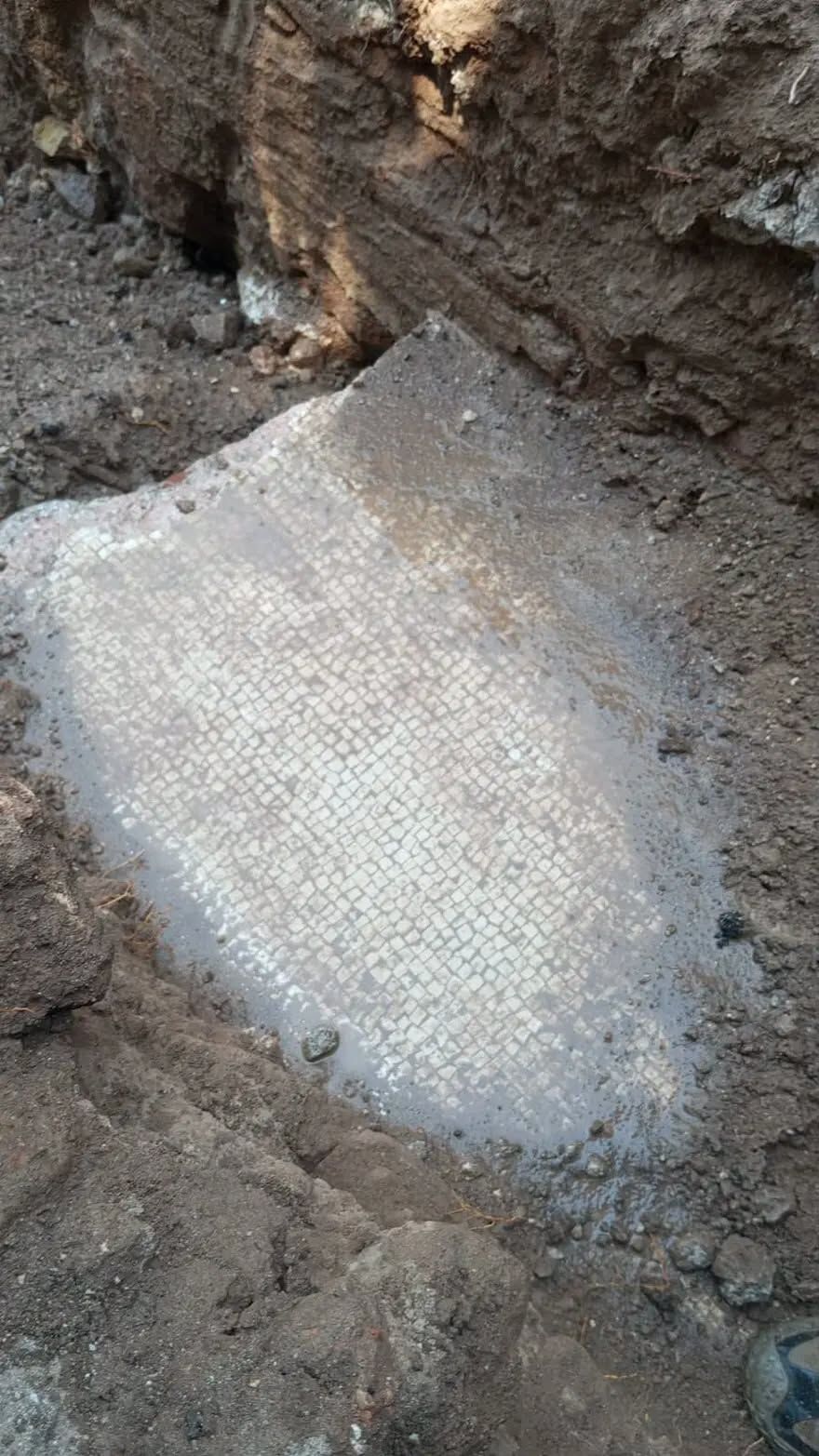 Reyhanlı’da kanalizasyon kazısında mozaik bulundu