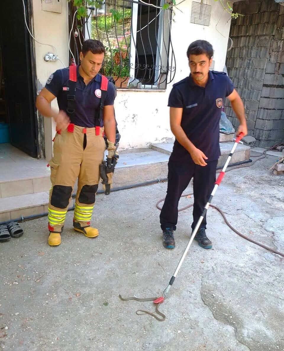 HBB İtfaiyesi Yerleşim Yerlerindeki Yılanları Yakaladı-2