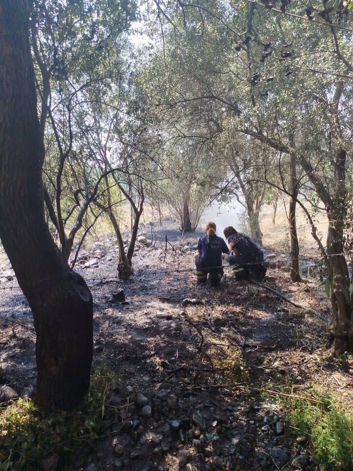 Dörtyol Yeşilköy’de Bahçe Yangını Kontrol Altına Alındı-1