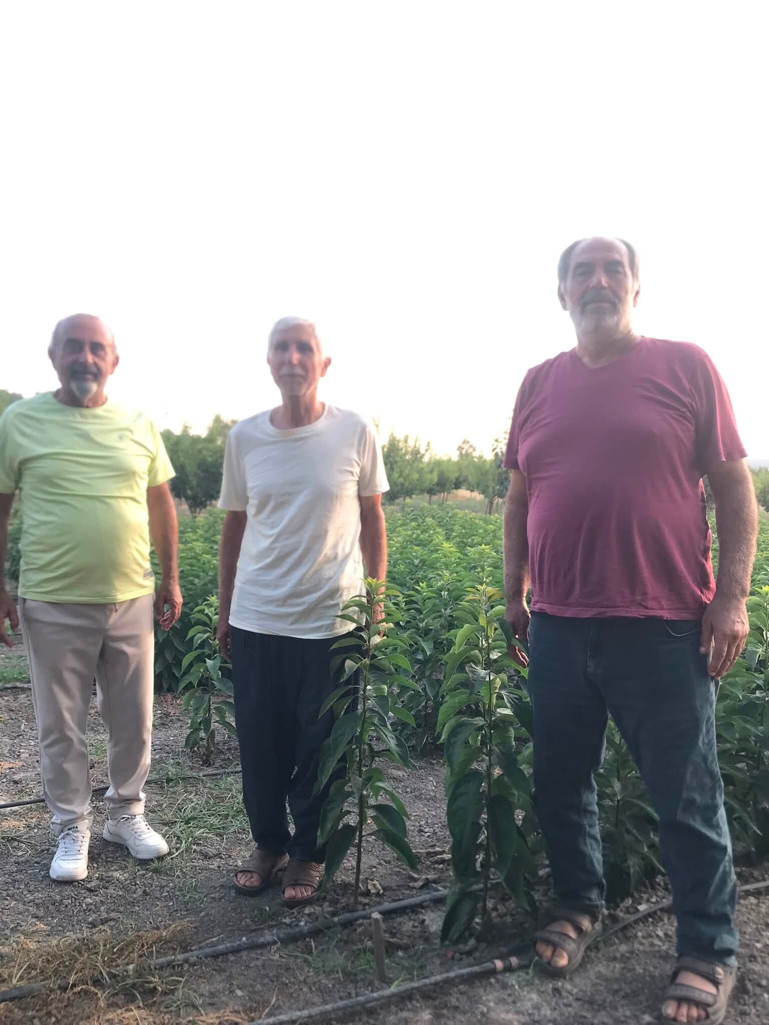 Kadirli’de Siyah Hurma İçin Yeni Tür Çalışması-1